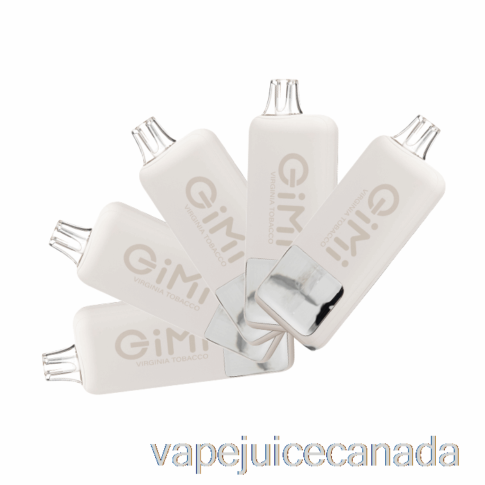 Vape Juice [5-Pack] FLUM Gimi 8500 Disposable